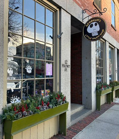 Georgia's Little Salem Shop "Sign" Enamel Pin